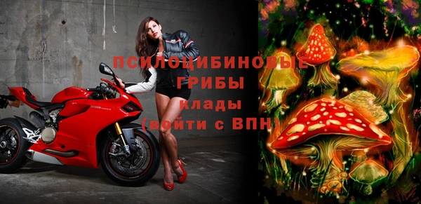 мет Надым
